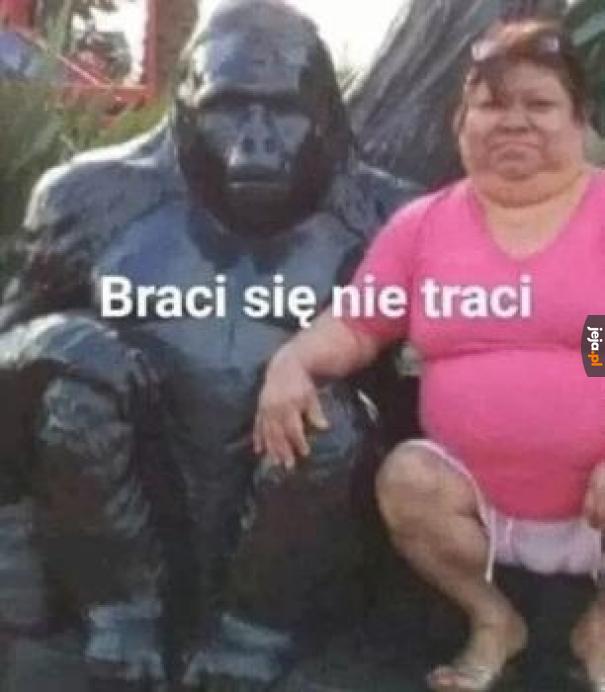 Rodzina to jest siła