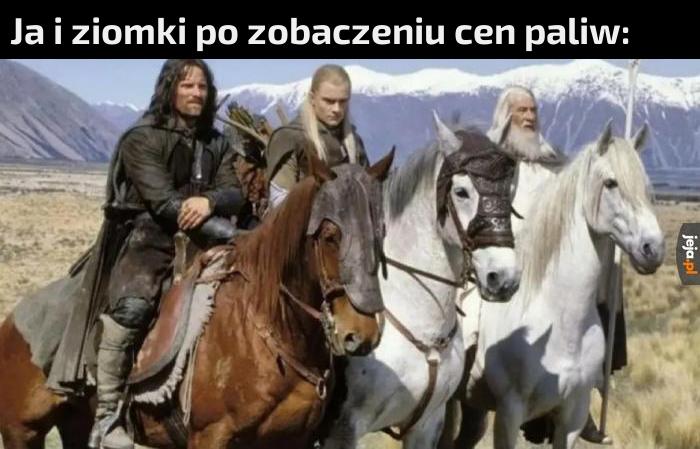 Jeden koń ma 16 koni mechanicznych