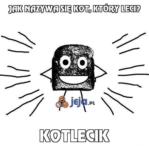 Jak nazywa się kot, który leci?