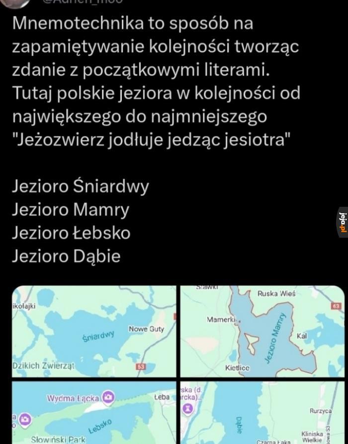 Wielki mózg czas