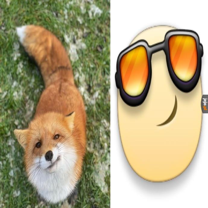 To ja 😎