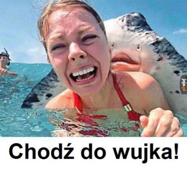 Chodź do wujka!