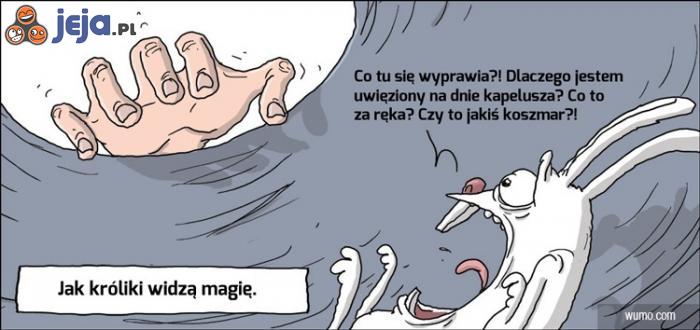 A idź mi panie z taką magią!