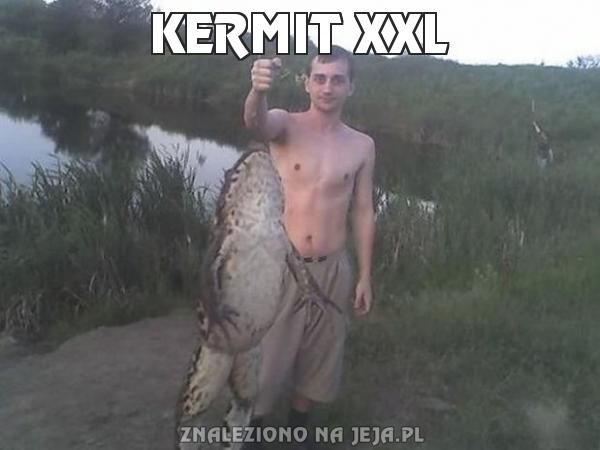 Kermit XXL