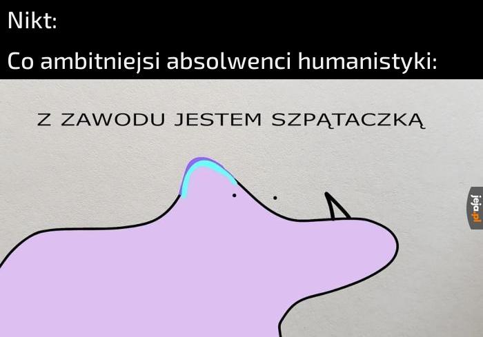 Praca na miarę wykształcenia