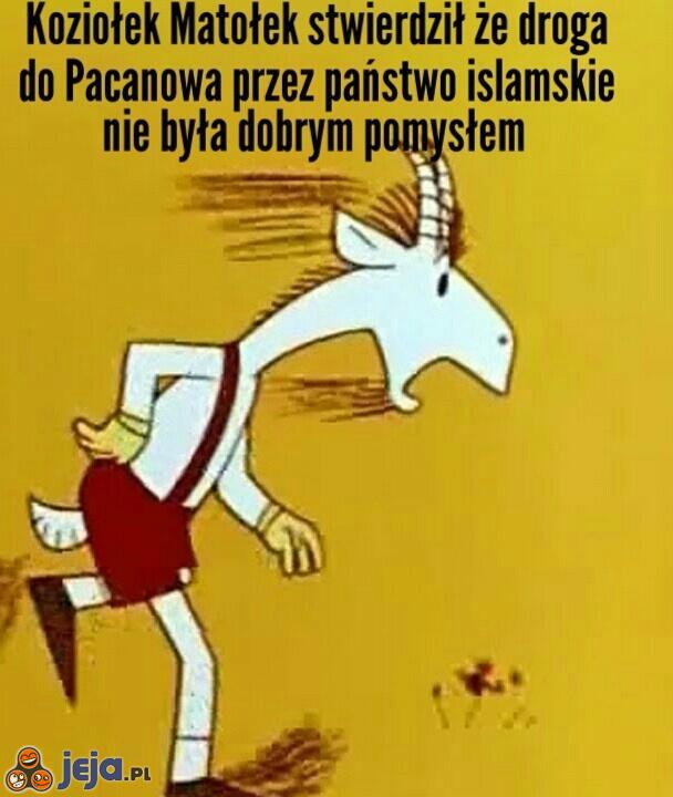 Trzeba było obrać inny szlak