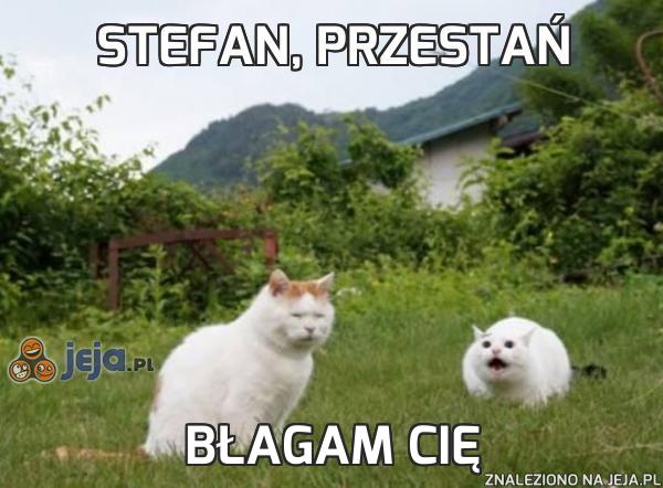 Stefan, przestań