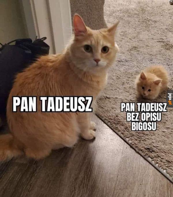 Bez kluczowej części