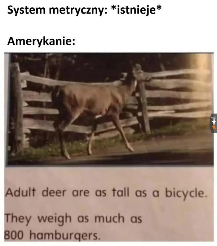 Jakiej wysokości jest standardowy rower?