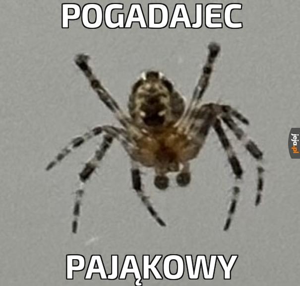 Pogadajmy