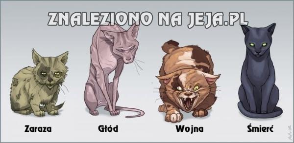 Cztery koty apokalipsy