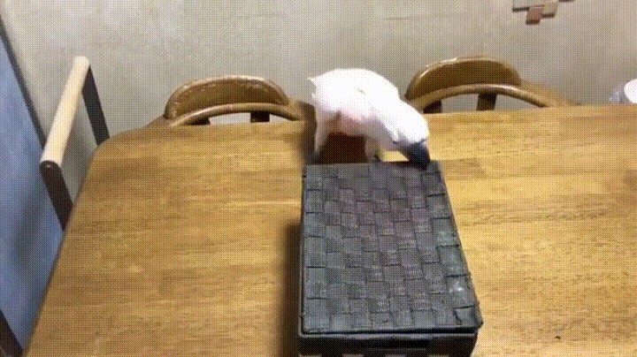 Nigdy nie otwieraj puszki Pandory
