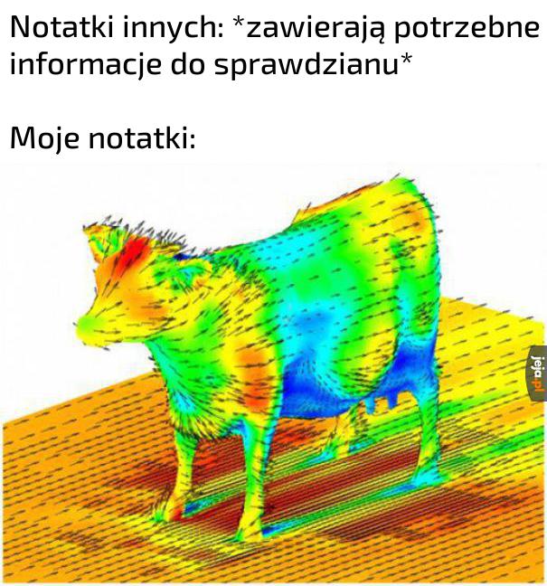 Aerodynamika krowy