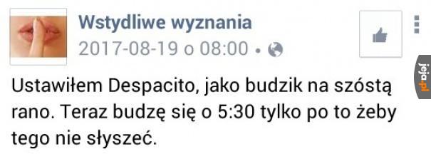 Ranny ptaszek