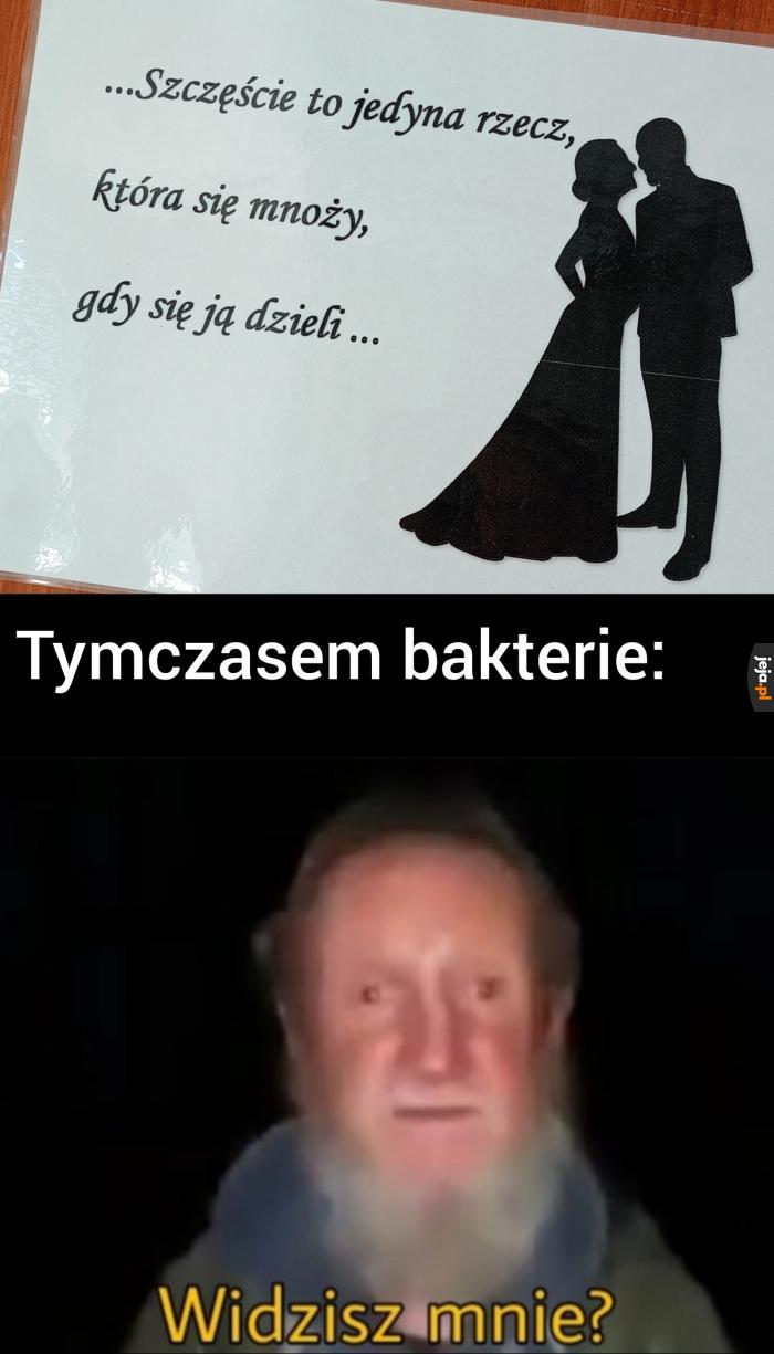 Bakterie pominięte :(