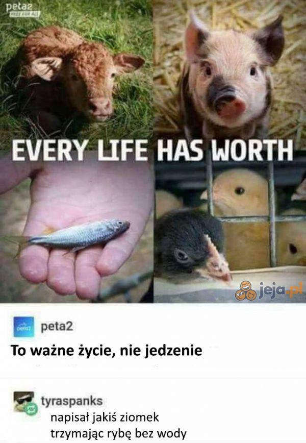 Każde życie ma wartość