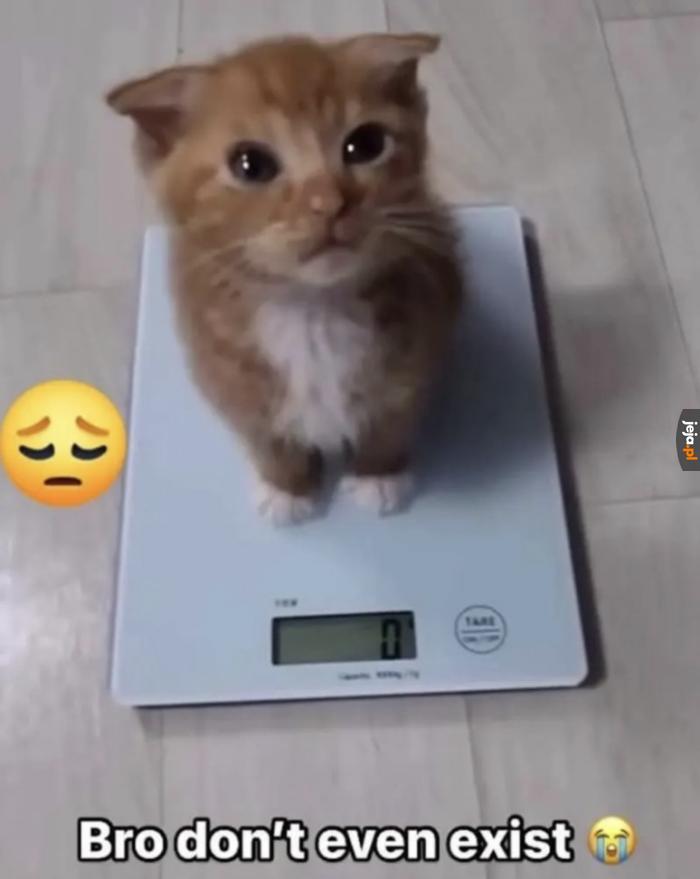 Biedny :(