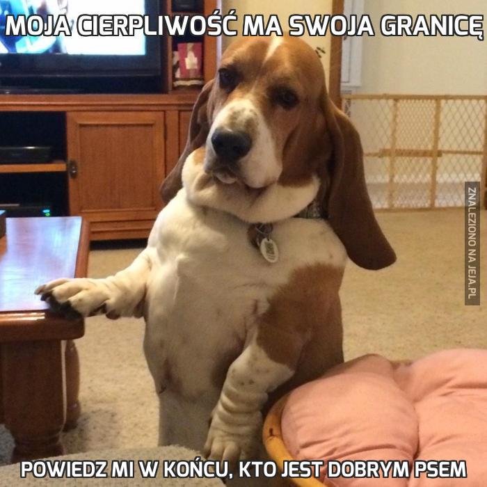 Moja cierpliwość ma swoja granicę