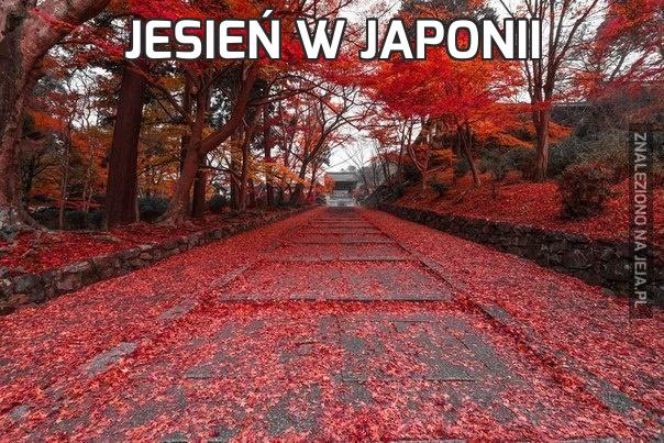 Jesień w Japonii