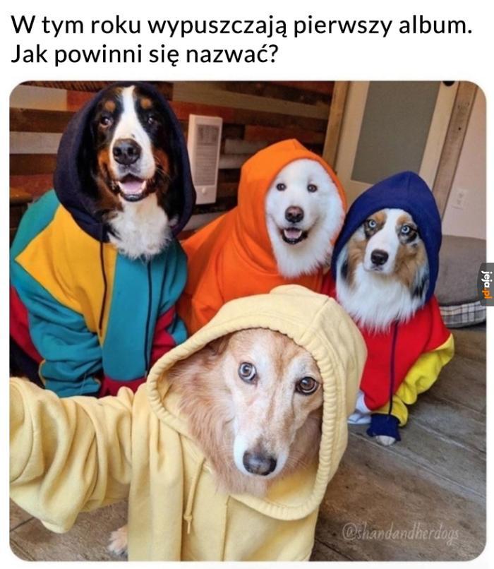 The Good Bois?