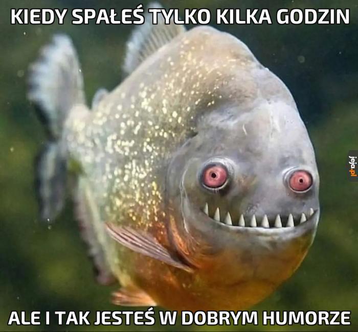 Dupne Monsterka i będzie git