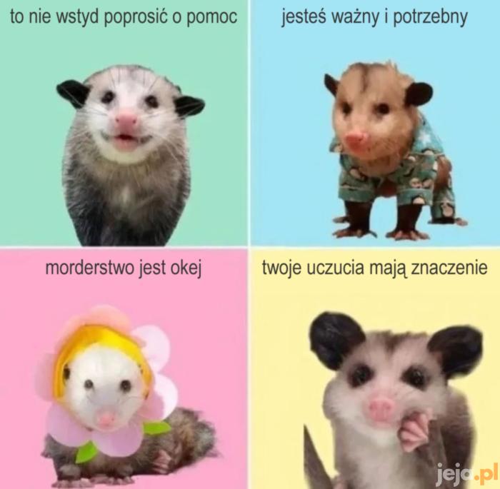 Jutro będzie inaczej