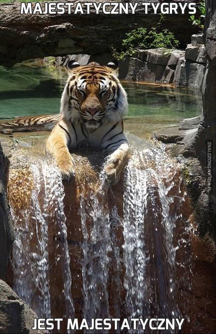 Majestatyczny tygrys