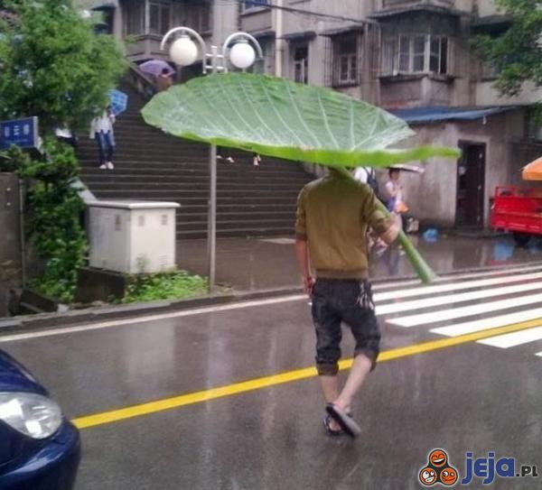 Biodegradowalny parasol