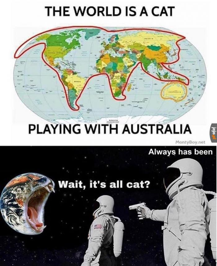 Świat to kot