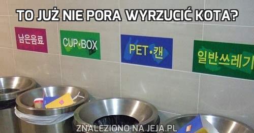 To już nie pora wyrzucić kota?