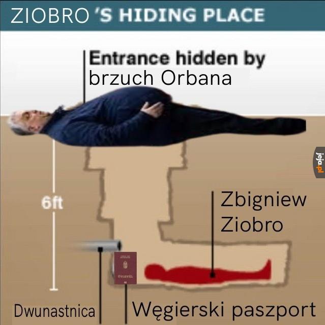 Niebywała technologia kamuflażu