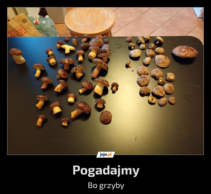 Pogadajmy