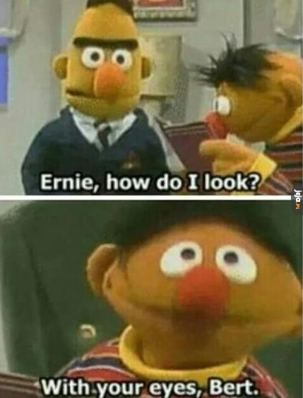 Bert zadaje strasznie głupie pytania