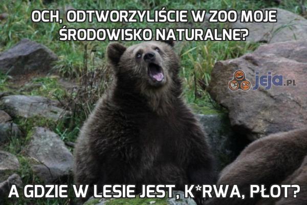 Och, odtworzyliście w zoo moje środowisko naturalne?
