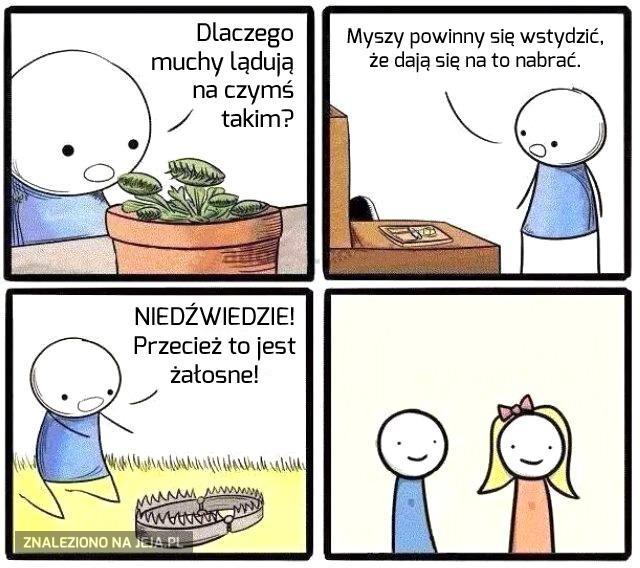 Pułapki, pułapki wszędzie!