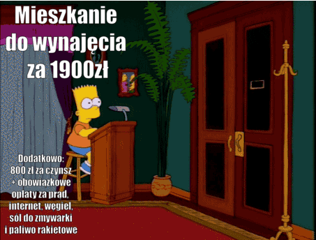 Wynajem w pigułce