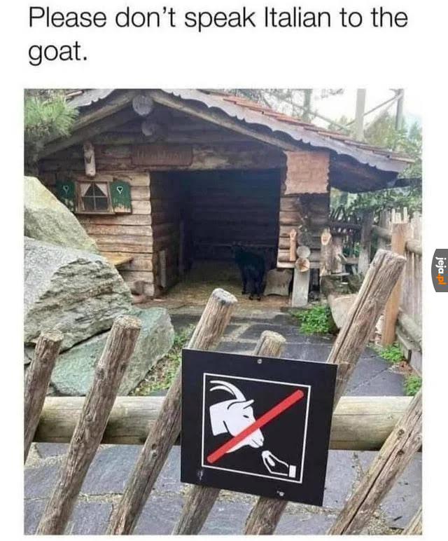 Nie gadaj po włosku do kozy