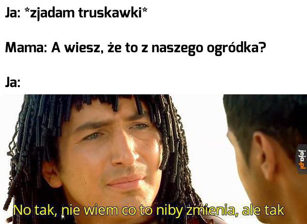 Nie ekscytuję się tym za bardzo