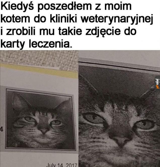 Świetnie oddaje jego osobowość