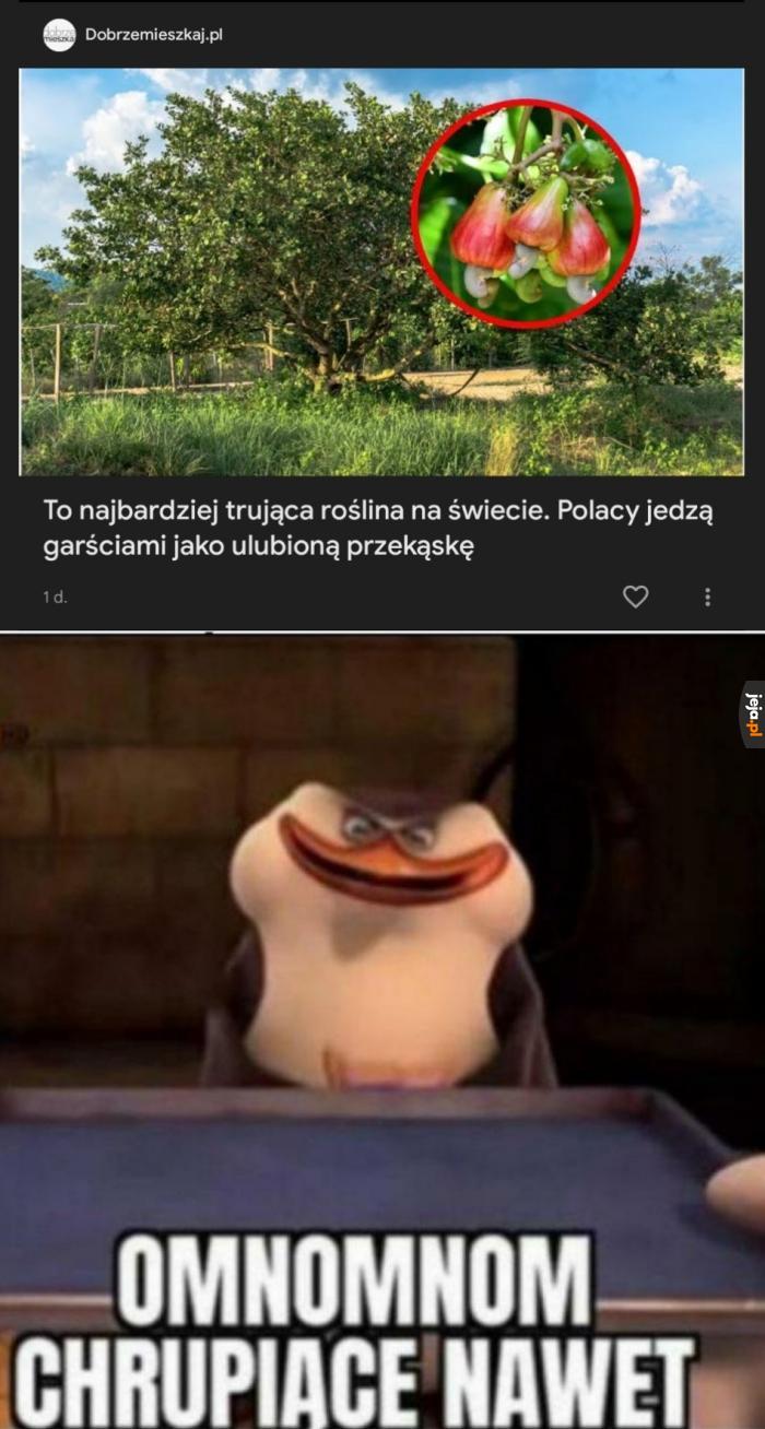 Mhm... Chrupkie w środku