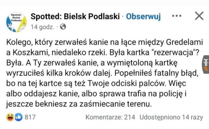 Zemsta będzie straszna