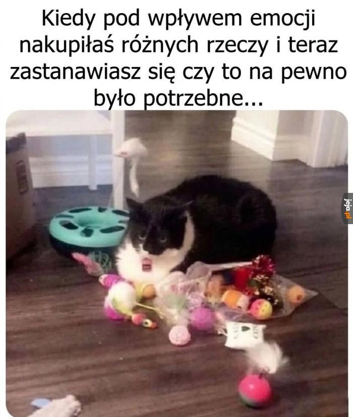 Czy było warto