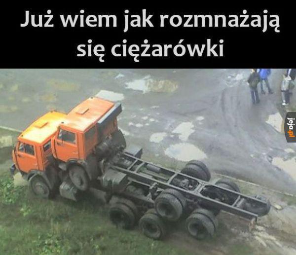Czytała Krystyna Czubówna