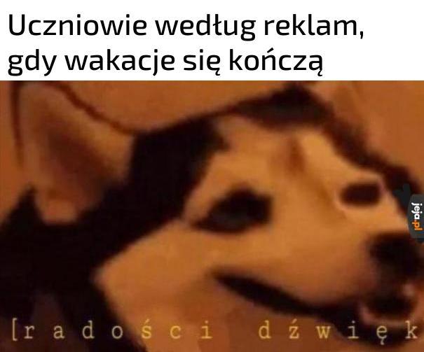 Bardziej cieszyć się po prostu nie da