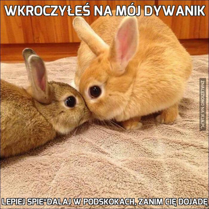 Wkroczyłeś na mój dywanik