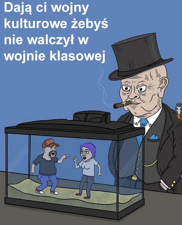 A Ty łykasz baity, czy jesteś odporny?