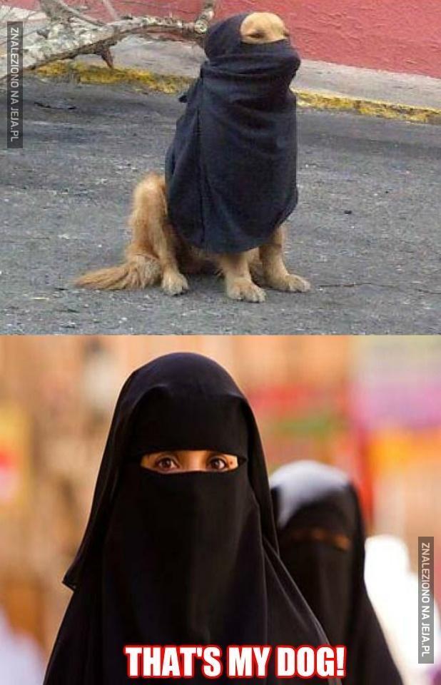 Muzułmański psiak