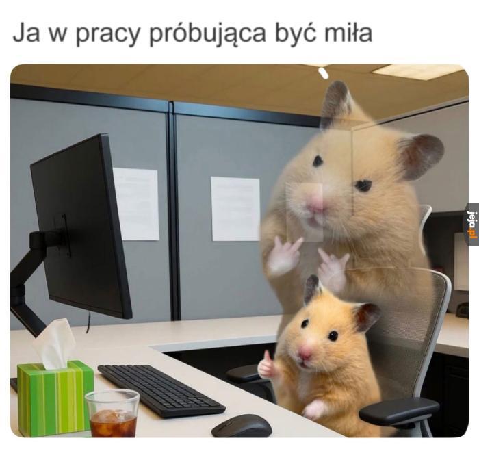 Lekko nie jest