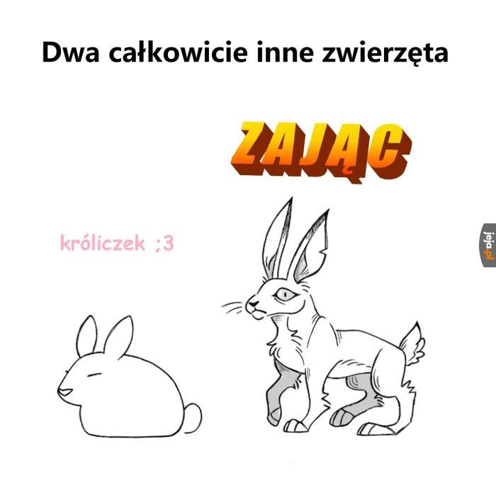 Wcale nie są do siebie podobne