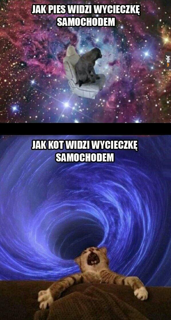 Wycieczka samochodem